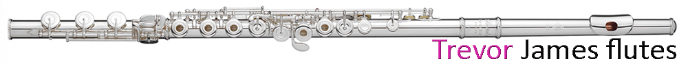 Trevor James flutes